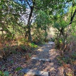Jewel Lake - Trail