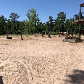 Cypress Trails Ranch - Horses!! - Horseback Riding Near Me - Humble, Texas Cypress Trails Ranch - Horses!! - Horseback Riding Near Me - Humble, Texas