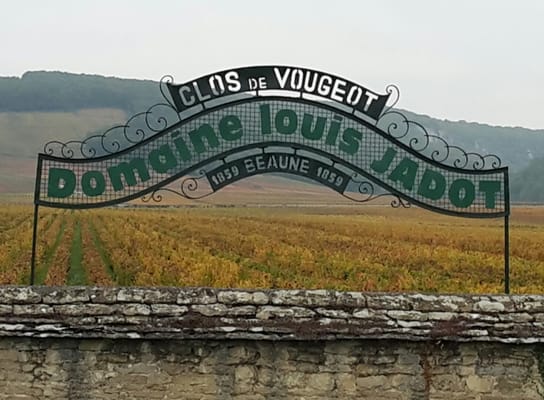Louis Jadot by null