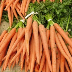 McGolrick Park's Down to Earth Farmers Market