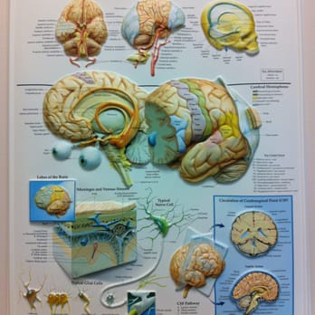 Southwestern Neuroscience Sleep Lab - Sleep Specialists Near Me - Irving, Texas Southwestern Neuroscience Sleep Lab - Sleep Specialists Near Me - Irving, Texas
