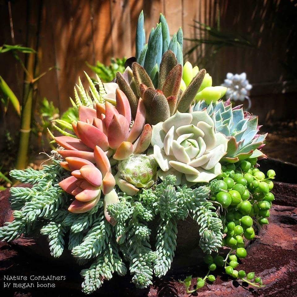 NATURE CONTAINERS VINTAGE GARDEN ART Updated April 2024 38 Photos