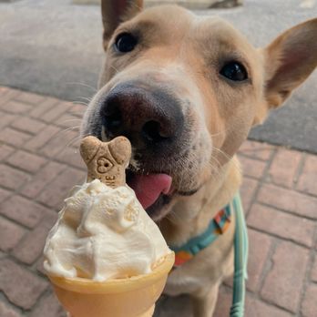 Crossroads Custard & Cold Brew - pup cup! - Ice Cream & Frozen Yogurt Near Me - Cashiers, North Carolina