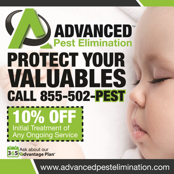 Advanced Pest Elimination - mention this ad for a 10% off initial application of any ongoing services. - Pest Control Near Me Advanced Pest Elimination - mention this ad for a 10% off initial application of any ongoing services. - Pest Control Near Me