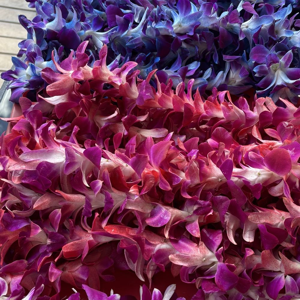 Harriet's Lei Stand - Gift Shops Near Me - Honolulu, Hawaii Harriet's Lei Stand - Gift Shops Near Me - Honolulu, Hawaii