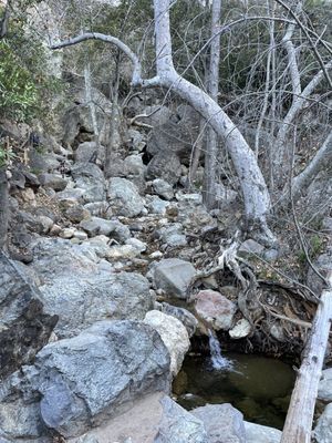 Solstice Canyon by null
