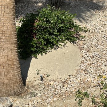 The Management Trust - Property Management Near Me - Palm Desert, California The Management Trust - Property Management Near Me - Palm Desert, California
