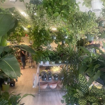The Bronze Petal - Nurseries & Gardening Near Me - Denver, Colorado