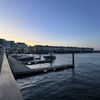 Boston Seaport gift card