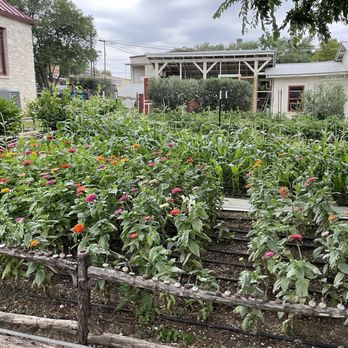 Outlaw Kitchens - Garden - New American Near Me - San Antonio, Texas Outlaw Kitchens - Garden - New American Near Me - San Antonio, Texas