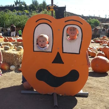 Peltzer Pumpkin Farm - Pumpkin patch - Pumpkin Patches Near Me - Temecula, California