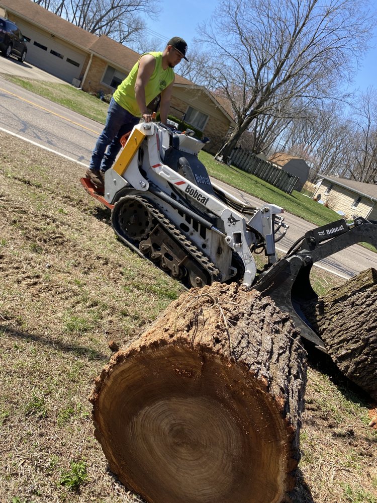 Sandoval Tree Services - tree service in Indianapolis, IN