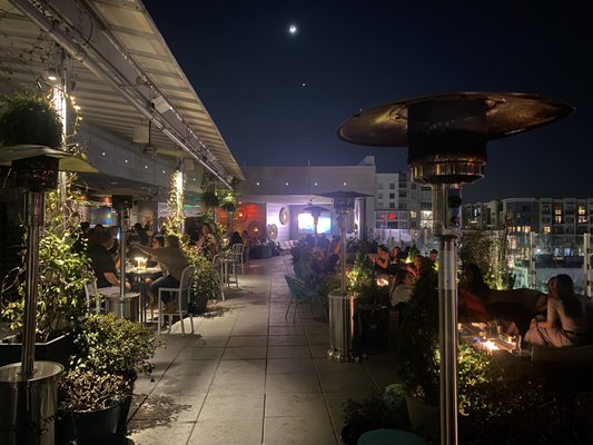 Botanical Lounge by null