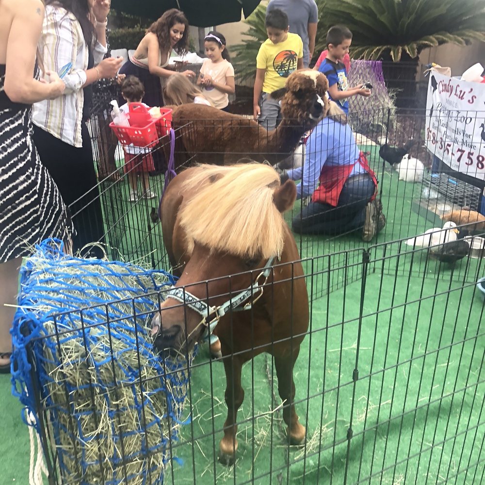 Cindy Lu's Petting Zoo - Petting Zoos Near Me Cindy Lu's Petting Zoo - Petting Zoos Near Me