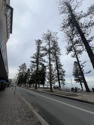 Manly Beach by null