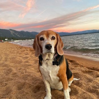Nevada Beach Campground - Campgrounds Near Me - Zephyr Cove, Nevada Nevada Beach Campground - Campgrounds Near Me - Zephyr Cove, Nevada