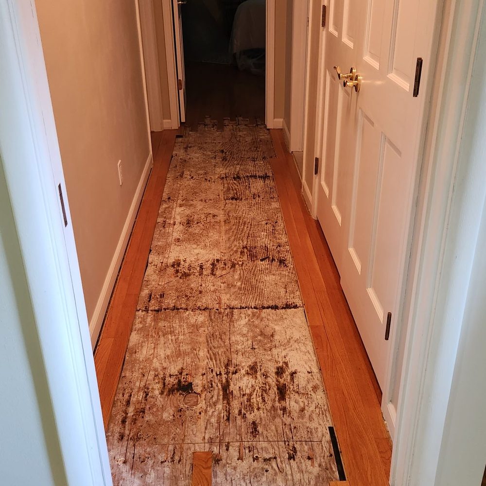 Exotic Flooring & Designs - Replacement - Flooring Near Me - Bloomfield Hills, Michigan
