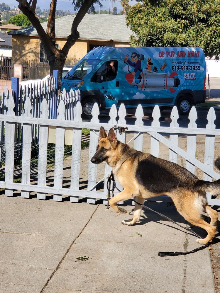 UP PUP AND AWAY MOBILE GROOMING Updated October 2024 53 Photos