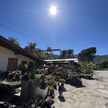La Crescenta Nursery - Nurseries & Gardening Near Me - Glendale, California