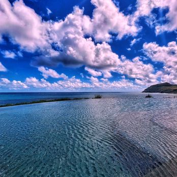 Hualani's - The infinity pool :-) - Hawaiian Near Me - Lihue, Hawaii Hualani's - The infinity pool :-) - Hawaiian Near Me - Lihue, Hawaii
