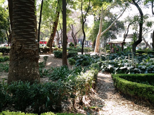 Parque México by null