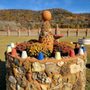 Photo of Prairie Moon Sculpture Gardens