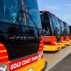 Gold Coast Tours