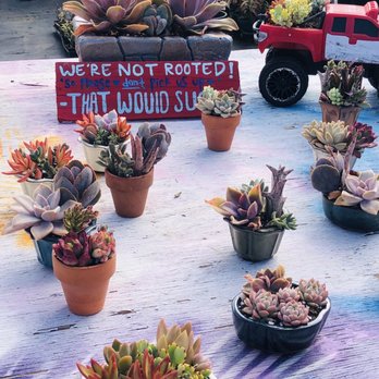 3rd Day Nursery - Landscaping Near Me - Kula, Hawaii