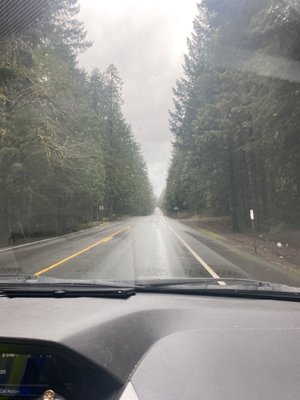 Willamette National Forest by null