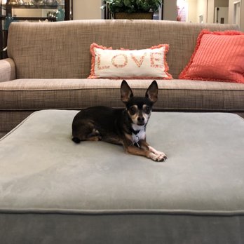 Pecan Ridge Memory Care - Pet friendly! Our dog Sugar, visiting her Grandma at Pecan Ridge - Assisted Living Facilities Near Me - Austin, Texas Pecan Ridge Memory Care - Pet friendly! Our dog Sugar, visiting her Grandma at Pecan Ridge - Assisted Living Facilities Near Me - Austin, Texas