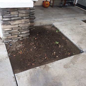 Dylan Dixon Tree Services - Tree Services Near Me