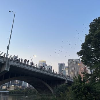Bats Under the Congress Avenue Bridge - Landmarks & Historical Buildings Near Me - Austin, Texas Bats Under the Congress Avenue Bridge - Landmarks & Historical Buildings Near Me - Austin, Texas