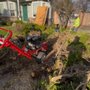 Photo of Freedom Tree Trimming Services