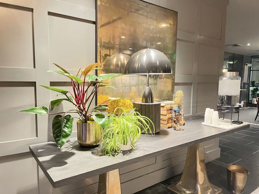 Hotel Theodore by null