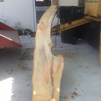 Buchanan Jeff Tree Service - Tree Services Near Me - Fullerton, California Buchanan Jeff Tree Service - Tree Services Near Me - Fullerton, California