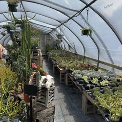 Genrich's Florist & Greenhouse