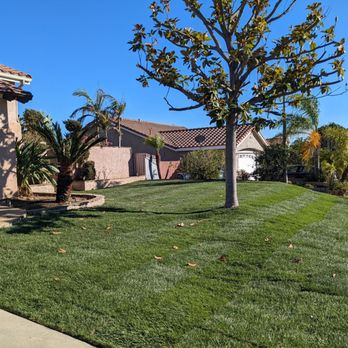 Clean & Green tree service & landscaping - New sod and tree and plant trimming, lots of clean up - Landscaping Near Me Clean & Green tree service & landscaping - New sod and tree and plant trimming, lots of clean up - Landscaping Near Me