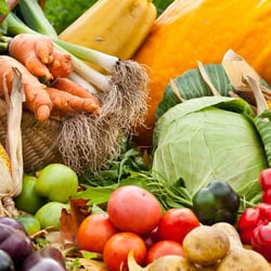 Kitchen Quickies - Organic and Local Produce