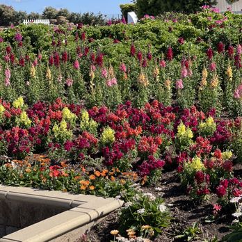 The Flower Fields - Venues & Event Spaces Near Me - Carlsbad, California The Flower Fields - Venues & Event Spaces Near Me - Carlsbad, California