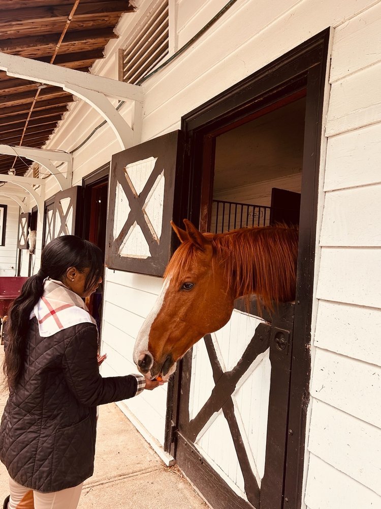 Social spots from Big River Barn Rescue