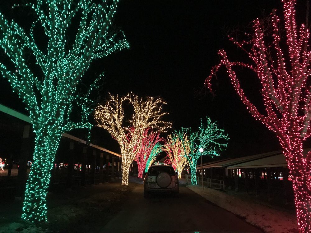 HOLIDAY LIGHTS ON THE LAKE 40 Photos Amusement Parks 700 Park Ave