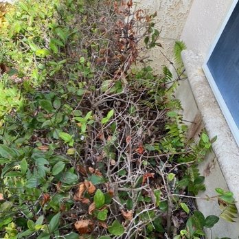 Magic Bubbles - Pressure Washers Near Me