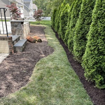 Miranda Landscaping - a row of green bushes in front of a house - Landscaping Near Me