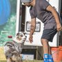 Canine Circuit
