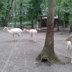 Tierpark