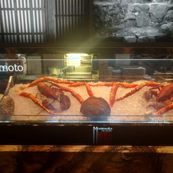 Morimoto - At Sushi Bar - Japanese Near Me - Las Vegas, Nevada Morimoto - At Sushi Bar - Japanese Near Me - Las Vegas, Nevada