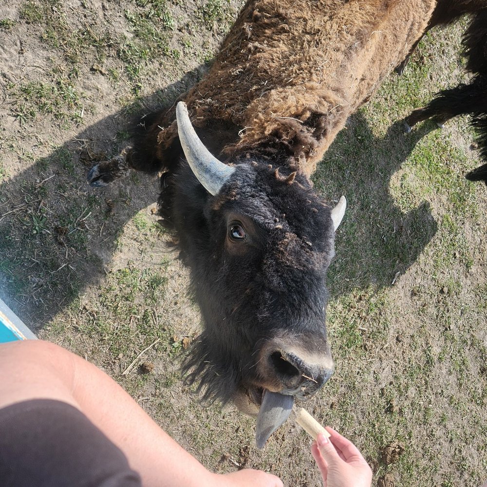 Terry Bison Ranch Resort - Here ya go - Venues & Event Spaces Near Me - Cheyenne, Wyoming