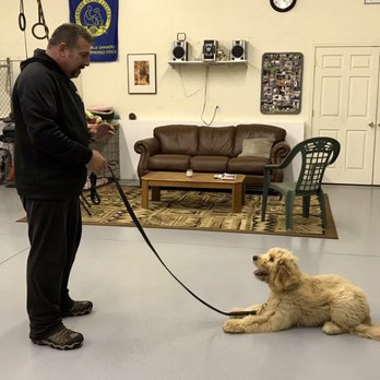 Trouwe Hond K-9 - Pet Training Near Me - Hanover, Massachusetts
