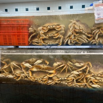 99 Ranch Market - I asked for 2 small and 1 big, I got 3 small (1 was especially small with a claw the size of my thumb) - Seafood Markets Near Me - Hacienda Heights, California 99 Ranch Market - I asked for 2 small and 1 big, I got 3 small (1 was especially small with a claw the size of my thumb) - Seafood Markets Near Me - Hacienda Heights, California