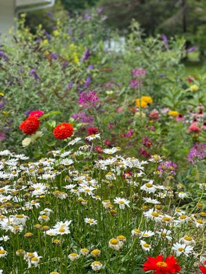 Crossroads Village & Huckleberry Railroad by null